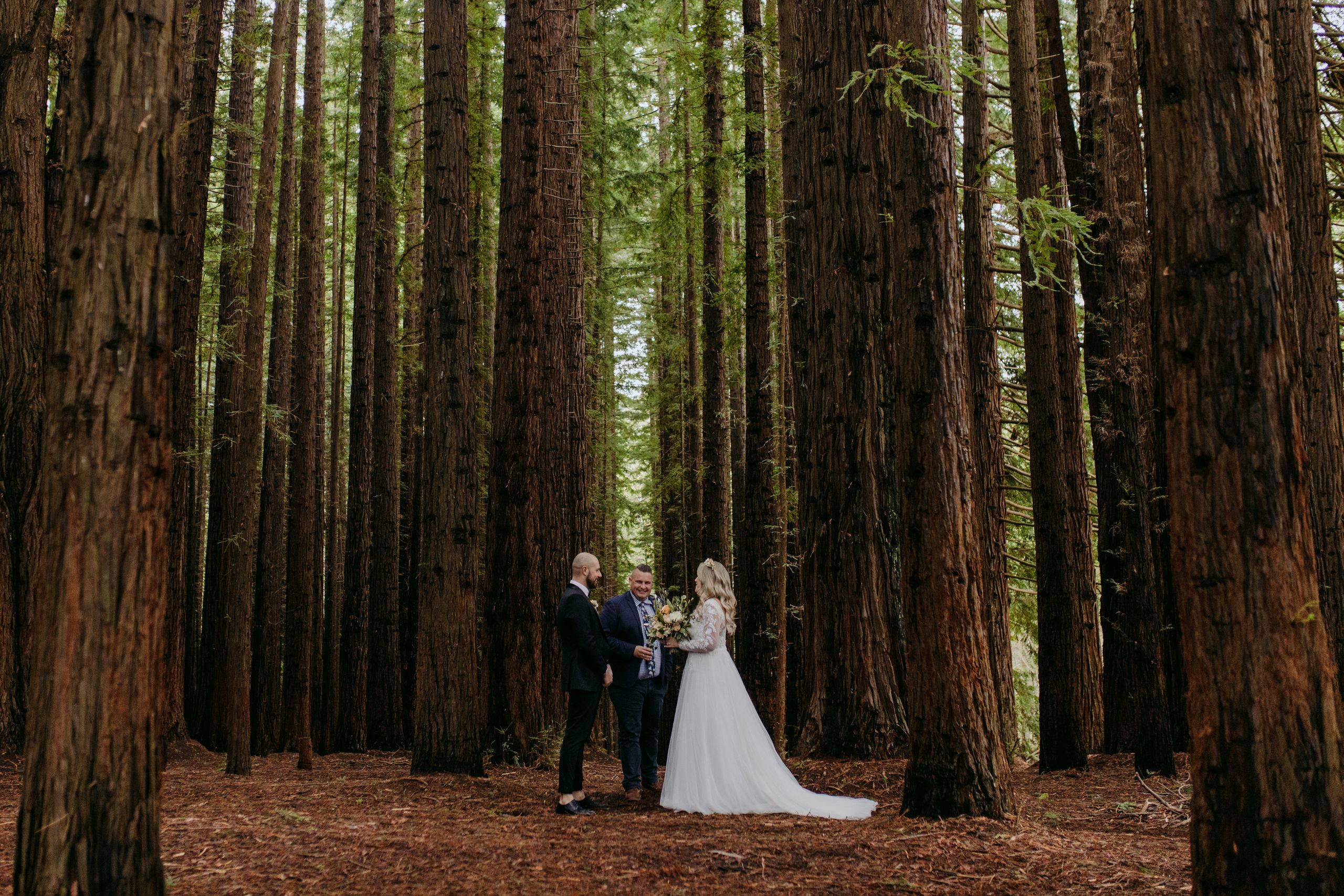 Josh Withers conducting a wedding ceremony among the redwoods near Melbourne