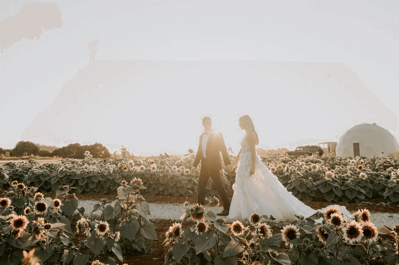 Hayley and Steve wedding portraits at Penguin’s Mount Gnomnom Farm ⌘